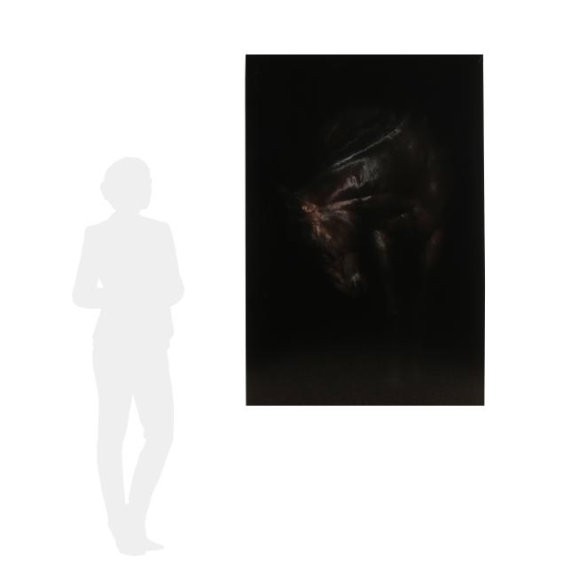 american-school-21st-century-monumental-contemporary-photograph-of-a-horse