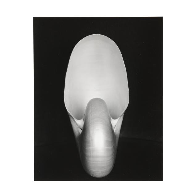 edward-weston-american-1886-1958-i-nautilus-i