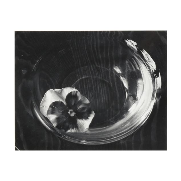 paul-caponigro-american-1932-2024-i-pansy-in-bowl-kentucky-i