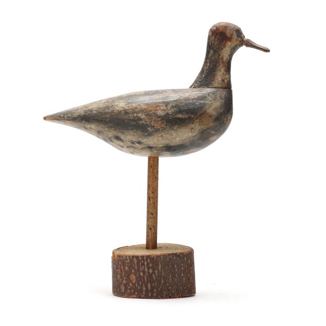 early-long-island-black-bellied-plover