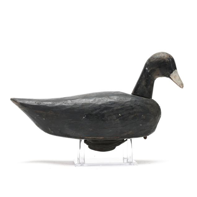 allen-tillet-nc-1906-1981-roothead-coot