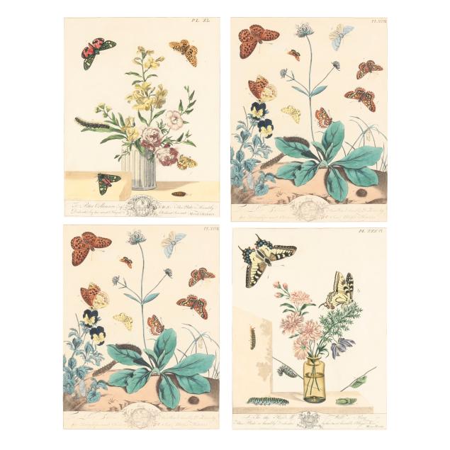 moses-harris-english-1731-c-1785-four-botanical-plates-from-i-l-aurelian-i