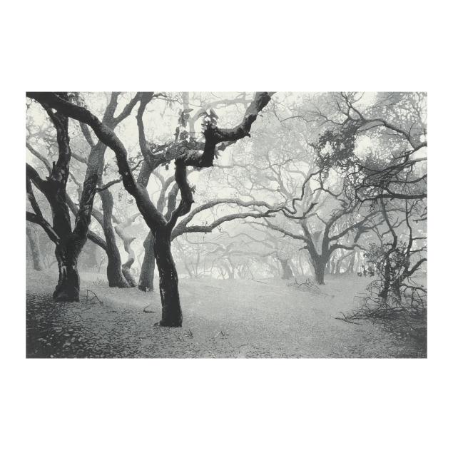 stephen-mcmillan-american-b-1949-i-oak-grove-i