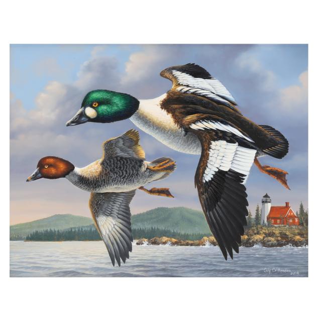 guy-crittenden-american-i-goldeneye-over-eagle-point-lighthouse-i