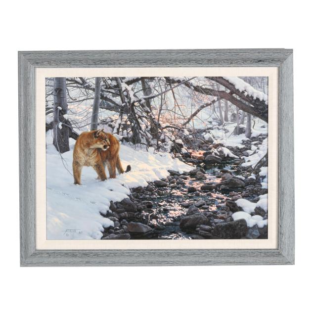 tim-cox-american-b-1957-mountain-lion-in-snow