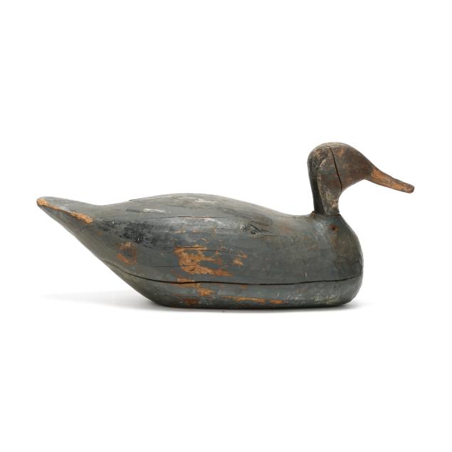 gary-bragg-nc-1881-1954-root-head-pintail