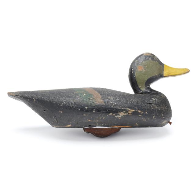 ned-burgess-nc-1868-1958-published-black-duck-from-dr-yates-barbour-rig