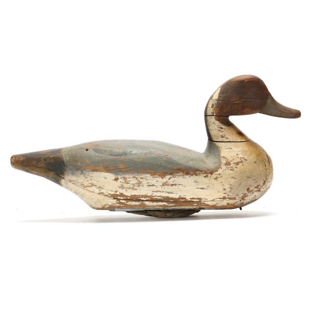 mitchell-fulcher-nc-1869-1950-pintail