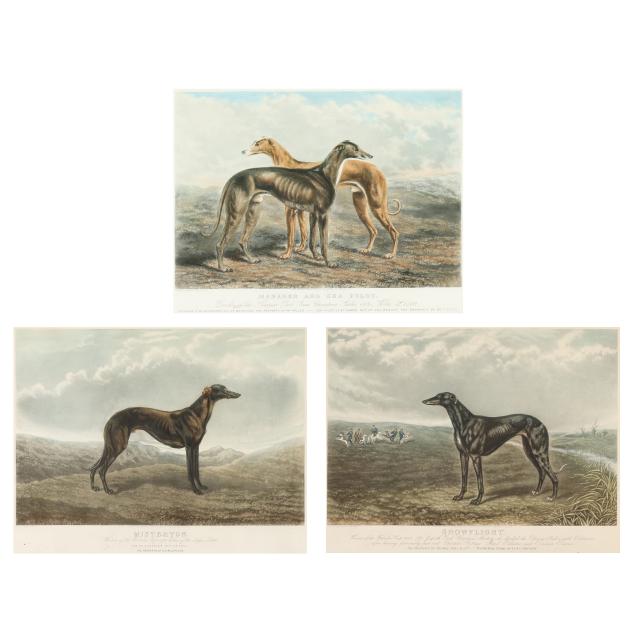 edwin-henry-hunt-english-1840-1925-i-misterton-manager-and-sea-pilot-snowflight-i-three-works