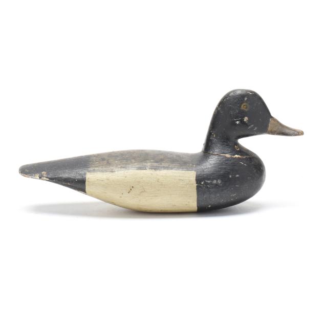 early-southern-new-jersey-miniature-bluebill