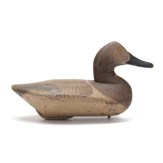 will-snake-heverin-md-1860-1951-hen-canvasback