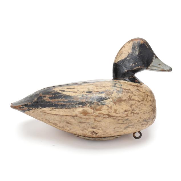 doug-jester-va-1876-1961-bufflehead