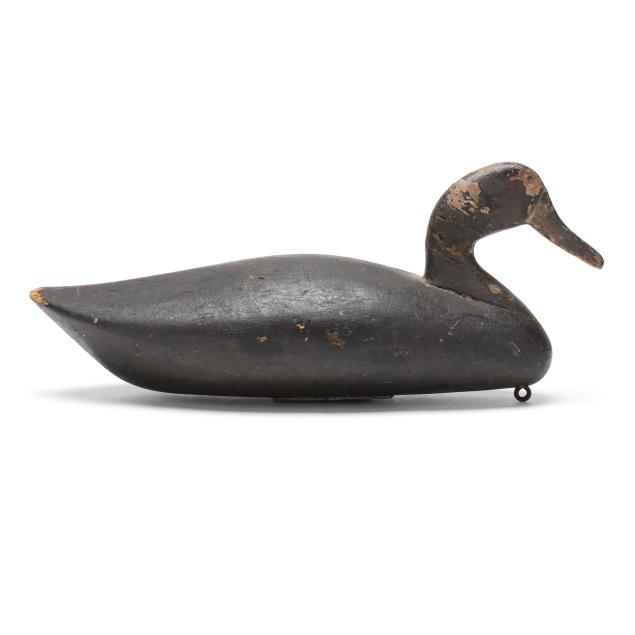 early-blair-school-black-duck