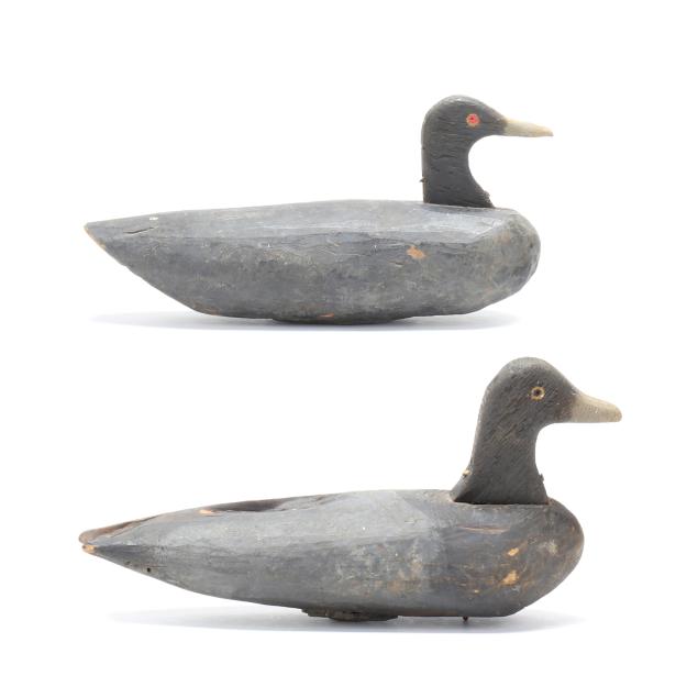 two-coots-from-the-north-bay-gunning-club