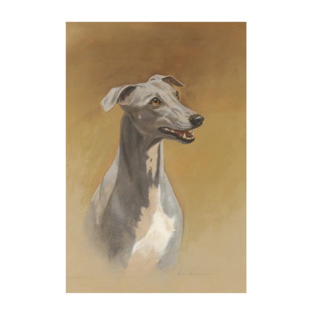 helen-buckland-english-20th-century-portrait-of-a-grey-whippet