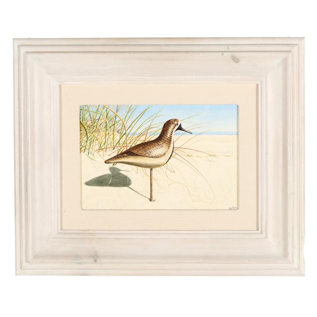 joe-seme-nc-b-1946-i-a-verity-black-bellied-plover-i