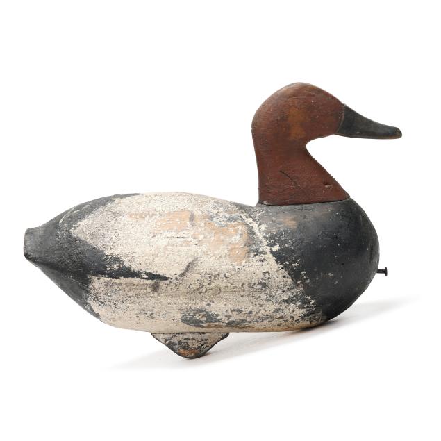 early-currituck-canvasback