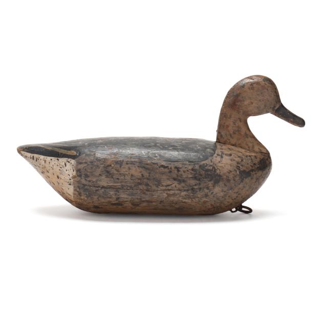 van-buren-griggs-nc-1880-1963-hen-pintail