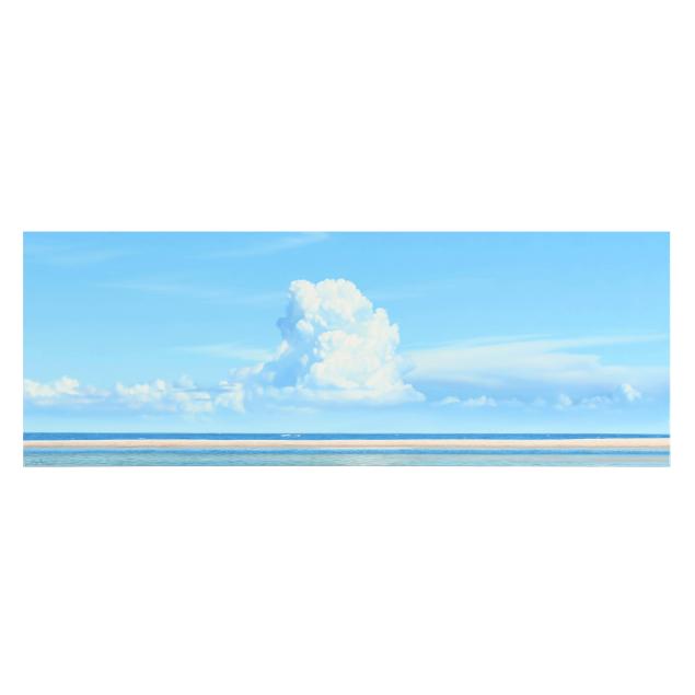 jack-saylor-nc-b-1960-i-shark-island-s-tropical-nature-i