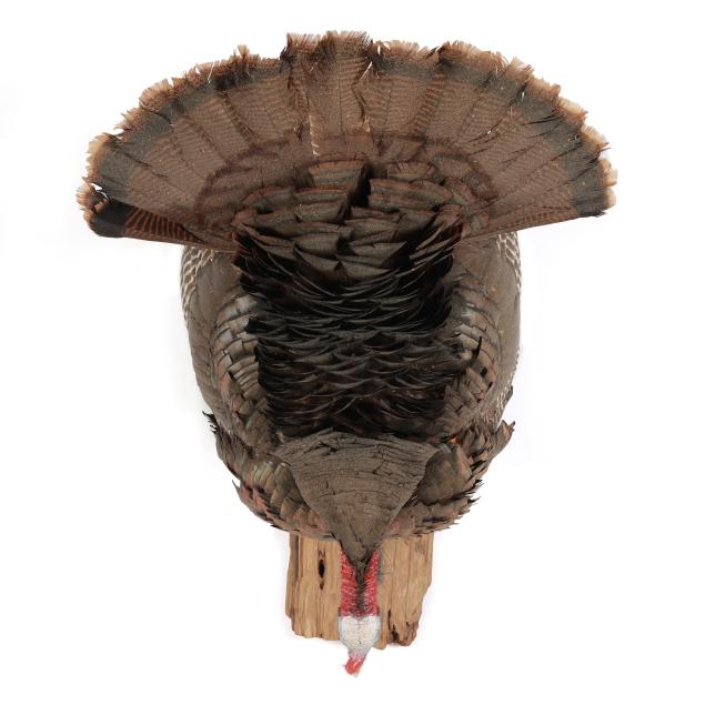 cutting-tom-turkey-taxidermy