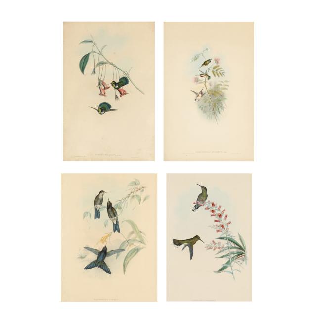 four-framed-hummingbird-lithographs-by-gould-richter
