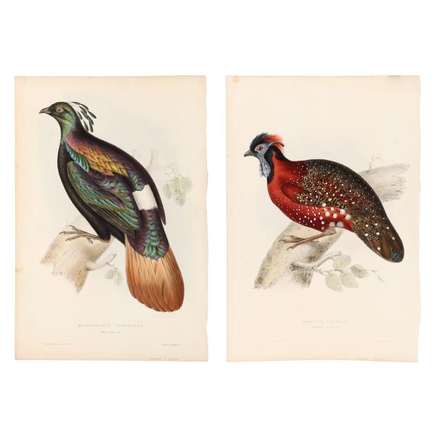 elizabeth-gould-british-1804-1841-two-prints-from-john-gould-s-i-a-century-of-birds-from-the-himalaya-mountains-i