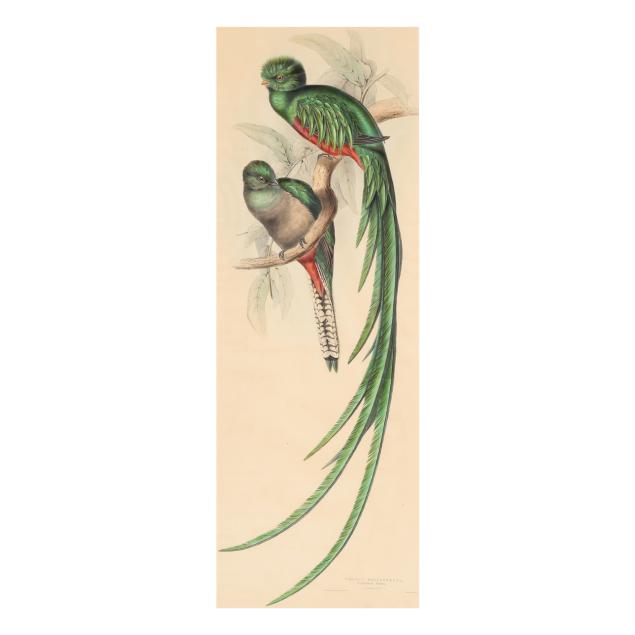 elizabeth-gould-british-1804-1841-i-trogon-resplendens-i