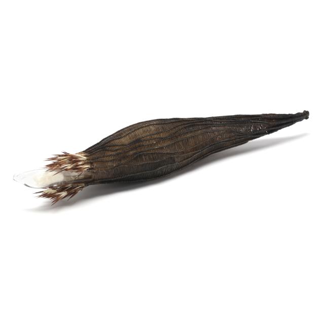 cathy-strokowsky-canadian-b-1967-i-seedling-1-i