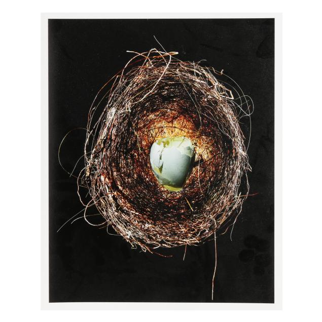 burk-uzzle-nc-b-1938-i-humming-bird-nest-4-i