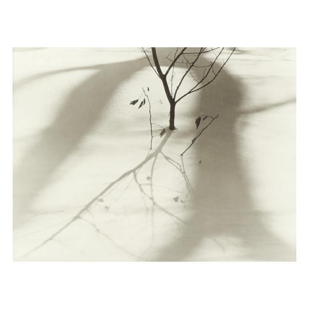 ralph-steiner-american-1899-1986-i-sapling-in-the-snow-i