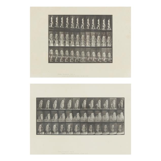 eadweard-muybridge-american-british-1830-1904-two-plates-from-i-animal-locomotion-i