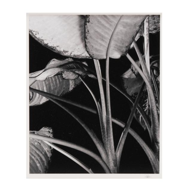 daniel-bowdoin-american-i-untitled-i