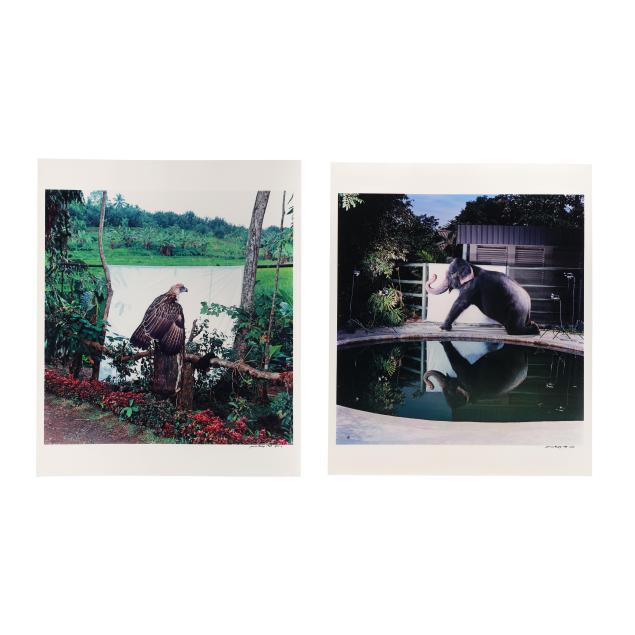 james-balog-american-b-1952-two-photographs-from-i-survivors-a-new-vision-of-endangered-wildlife-i-i