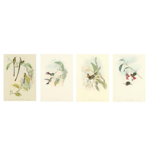 four-gould-richter-hummingbird-lithographs