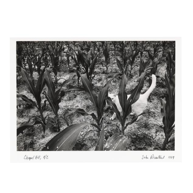 john-rosenthal-nc-b-1942-i-chapel-hill-north-carolina-i