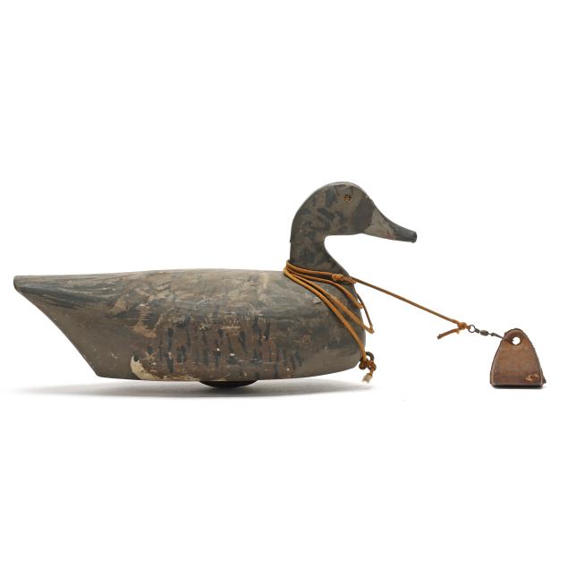 callie-o-neal-nc-1910-1970-gadwall