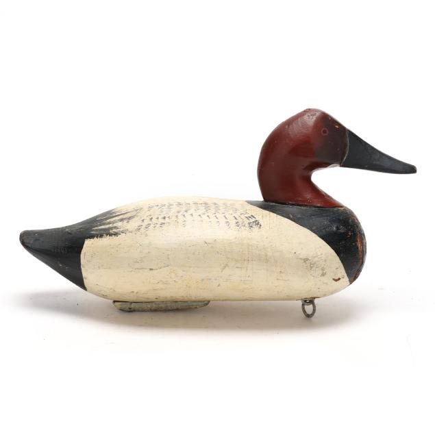 bailey-moltz-md-1888-1963-canvasback