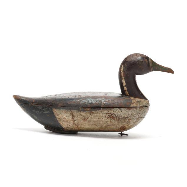 early-blair-school-pintail