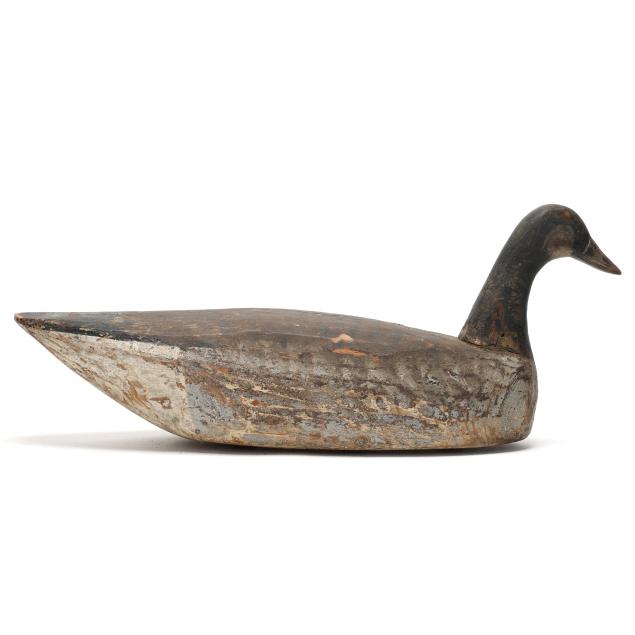 early-eastern-shore-virginia-goose