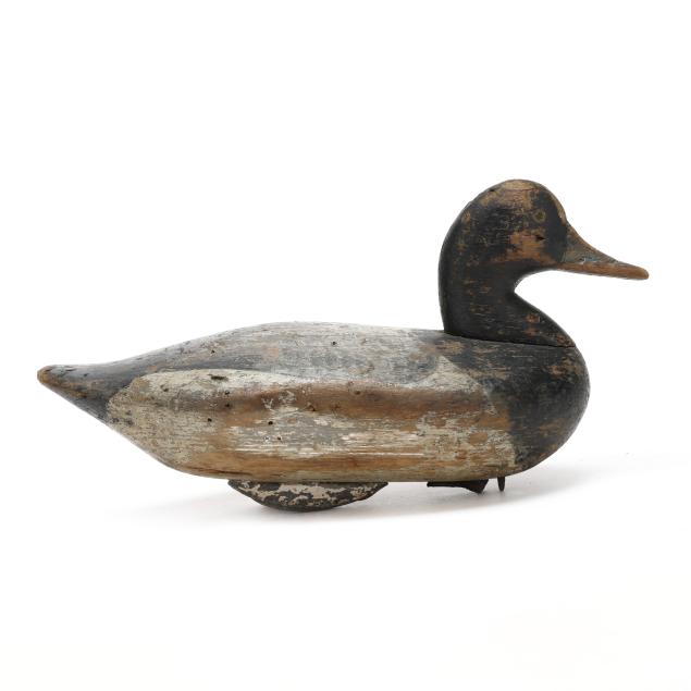 james-jim-holly-md-1855-1935-bluebill