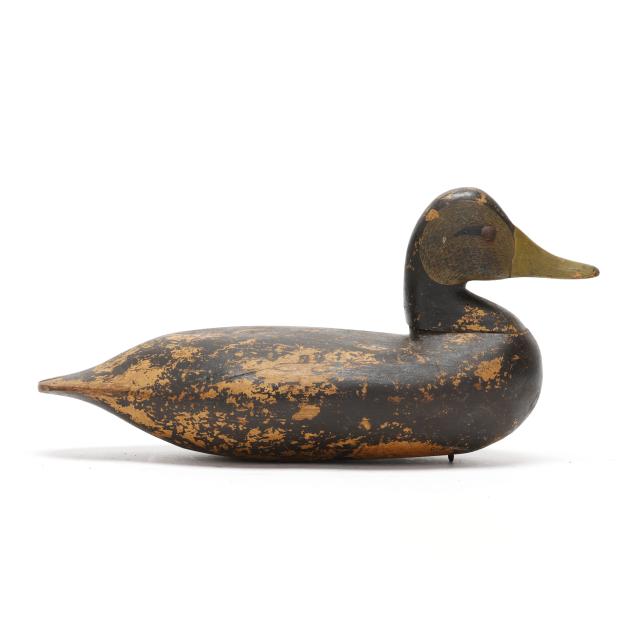 charles-birch-va-1867-1956-black-duck