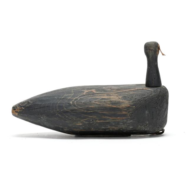 gallup-brothers-va-coot