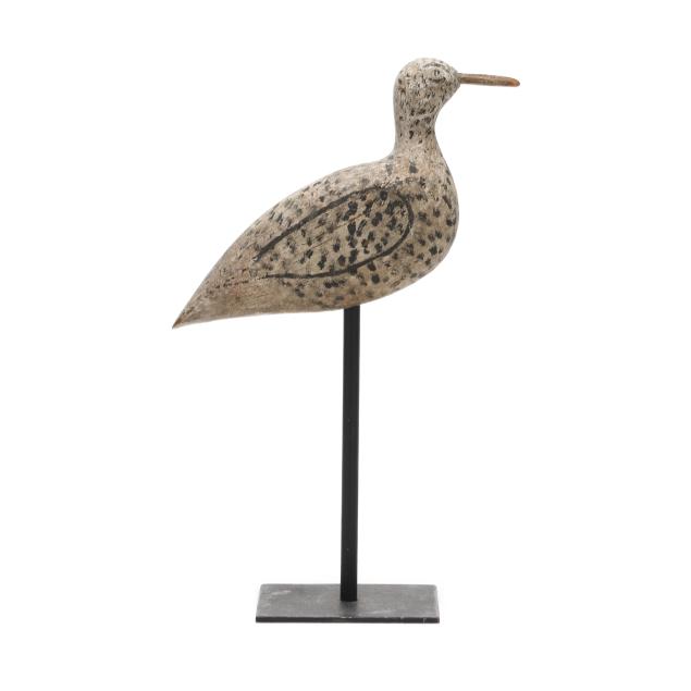 early-new-jersey-sanderling