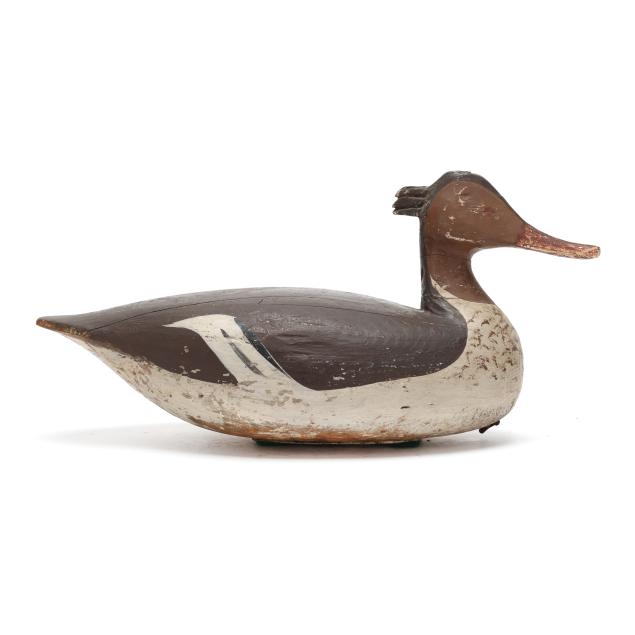 eastern-shore-virginia-hen-merganser