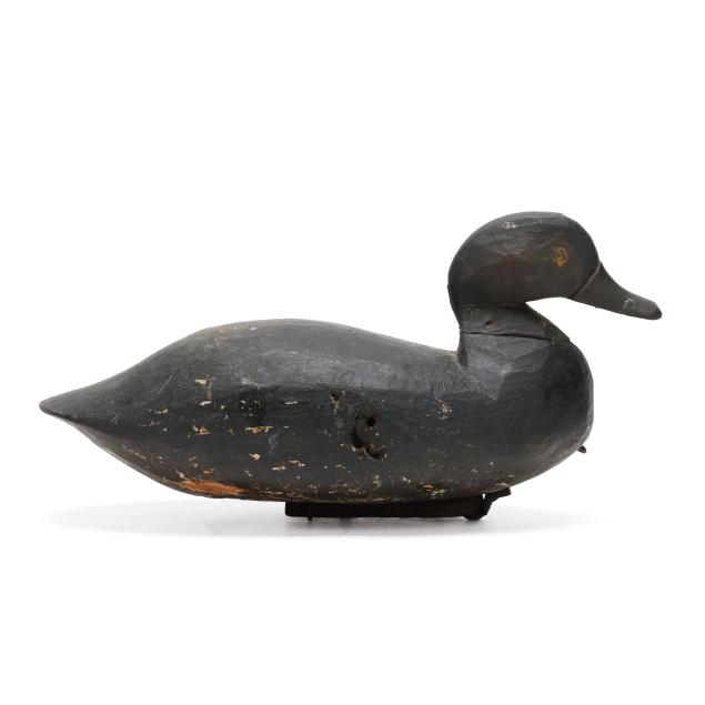 very-early-back-bay-bluebill