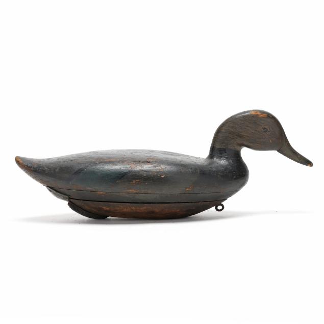 early-blair-school-swimming-black-duck