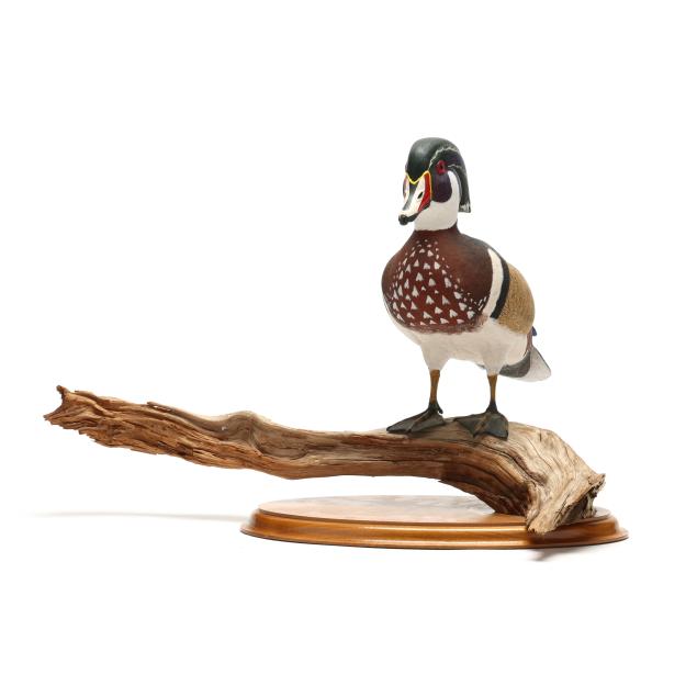 george-monte-standing-wood-duck