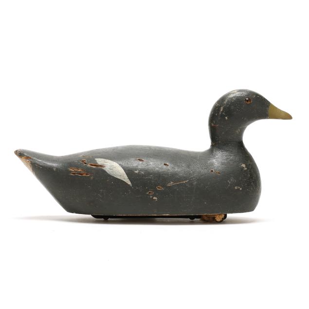 evans-decoy-factory-wi-coot