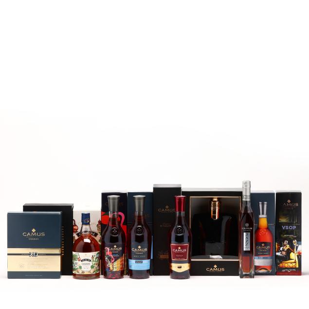 camus-cognac-mixed-lot-11-bt