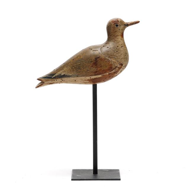 john-dilley-ny-golden-plover